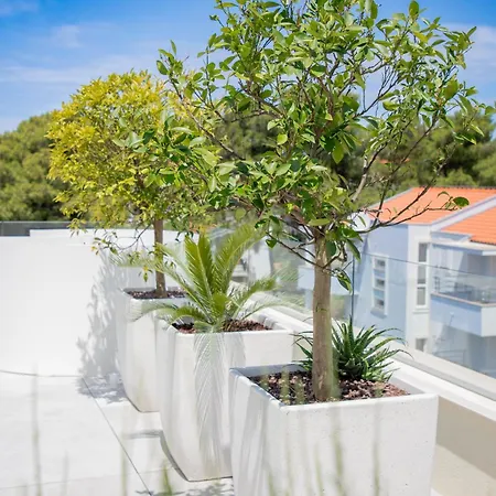 Gala'Pe Apartment Zadar Exterior photo